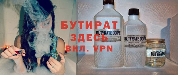 сатива Дмитриев