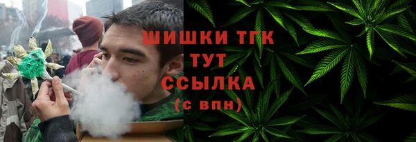 сатива Дмитриев