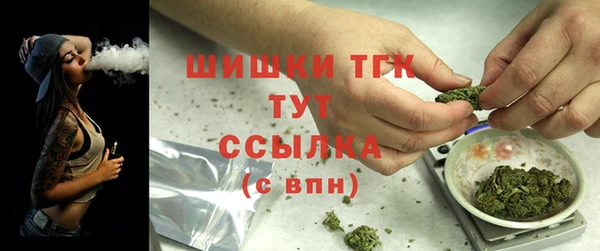 сатива Дмитров