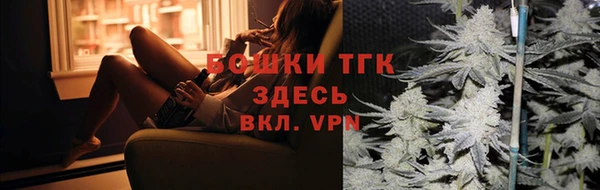 сатива Дмитров