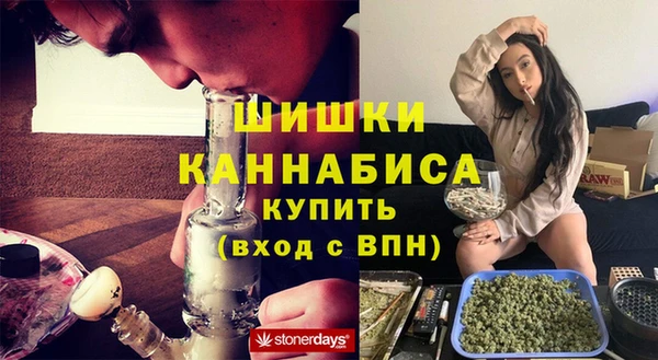 сатива Дмитров