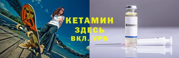 сатива Дмитриев
