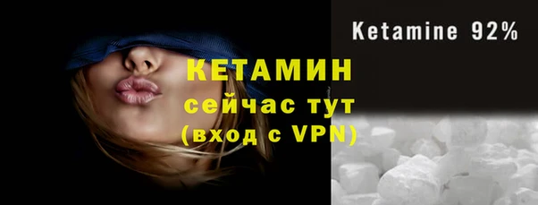 сатива Дмитриев