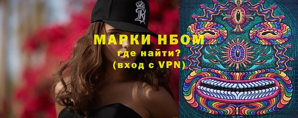 сатива Дмитриев