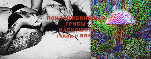 сатива Дмитриев