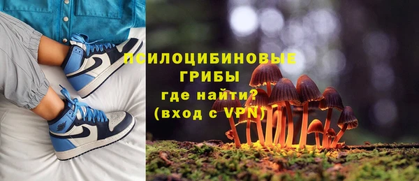 сатива Дмитров