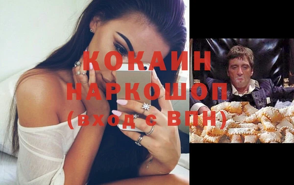 сатива Дмитриев