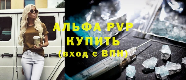 сатива Дмитриев