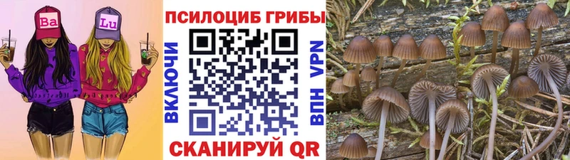 Псилоцибиновые грибы Magic Shrooms MEGA вход Елизово