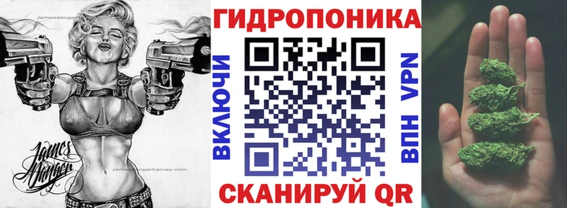 мега ссылки  купить закладку  Елизово  Канабис семена 